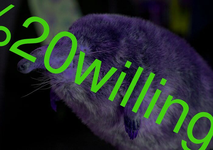 the willingness